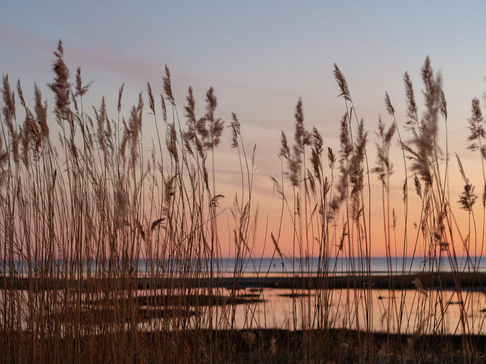 Apartmán Perka Kodumajutus Häädemeeste Exteriér fotografie